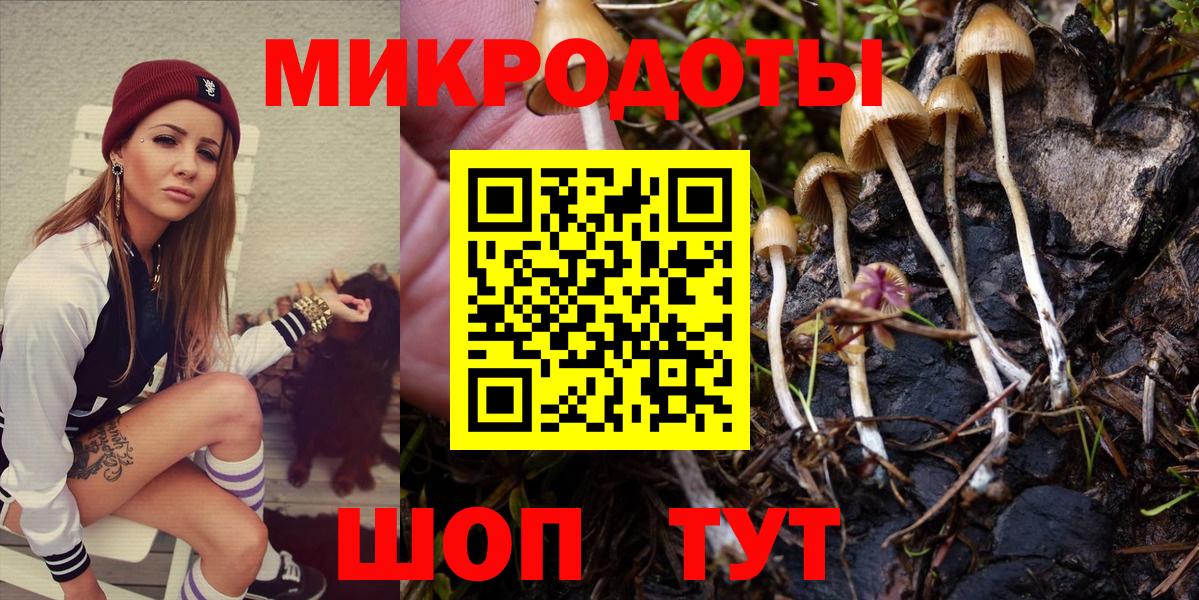 Псилоцибиновые грибы Cubensis Стерлитамак