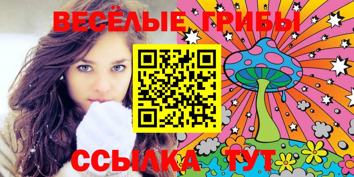 как найти закладки  Стерлитамак  Галлюциногенные грибы MAGIC MUSHROOMS  Галлюциногенные грибы GOLDEN TEACHER 