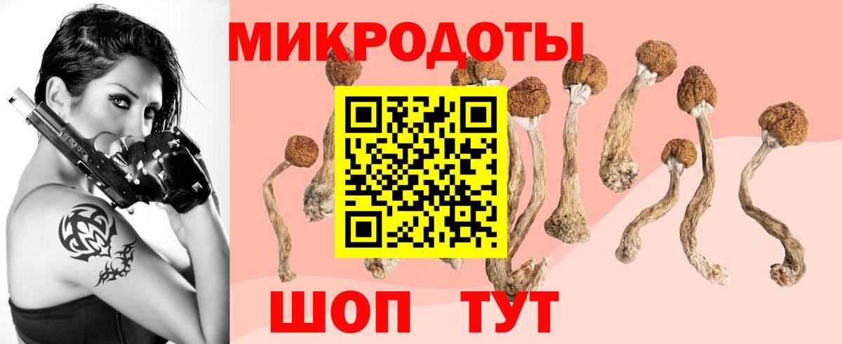 Стерлитамак  Псилоцибиновые грибы Psilocybe  Вход с VPN 